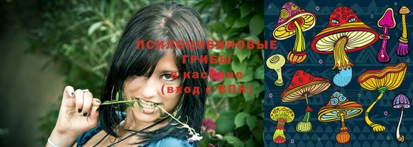 таблы Белокуриха
