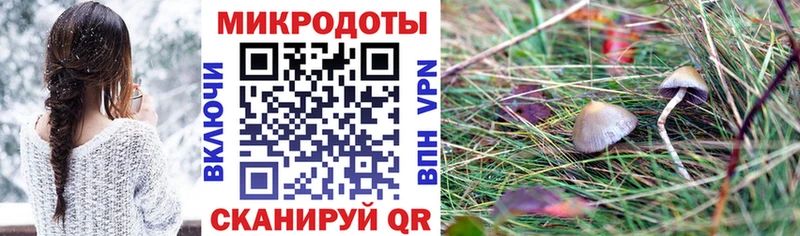 Галлюциногенные грибы прущие грибы Верхний Тагил